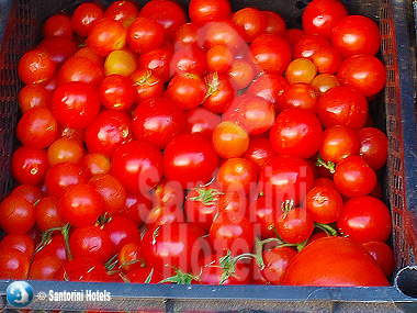 Santorini Cherry Tomatoes