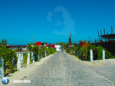 Volcan Winery