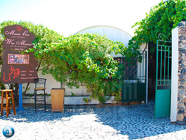 Volcan Winery