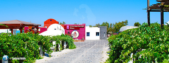 Volcan Winery