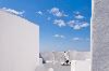 Cliffside Suites
