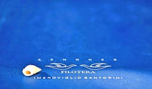 Filotera Xenones