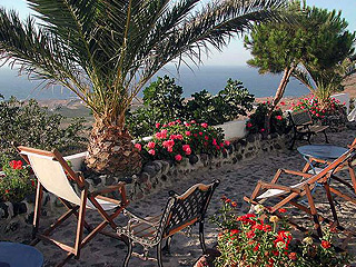 Agnadi Villa Foinikia Santorini Garden