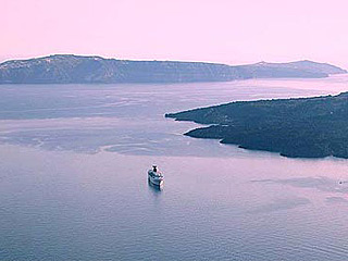 Blue Dolphins Amazing View