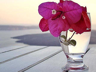 Blue Dolphins Hotel In Santorini
