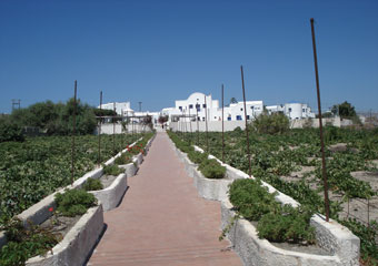 Imperial Med Santorini Lux Hotel Beach Access