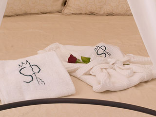 Santorini Princess Hotel Facilities