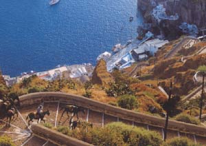 donkey ride santorini